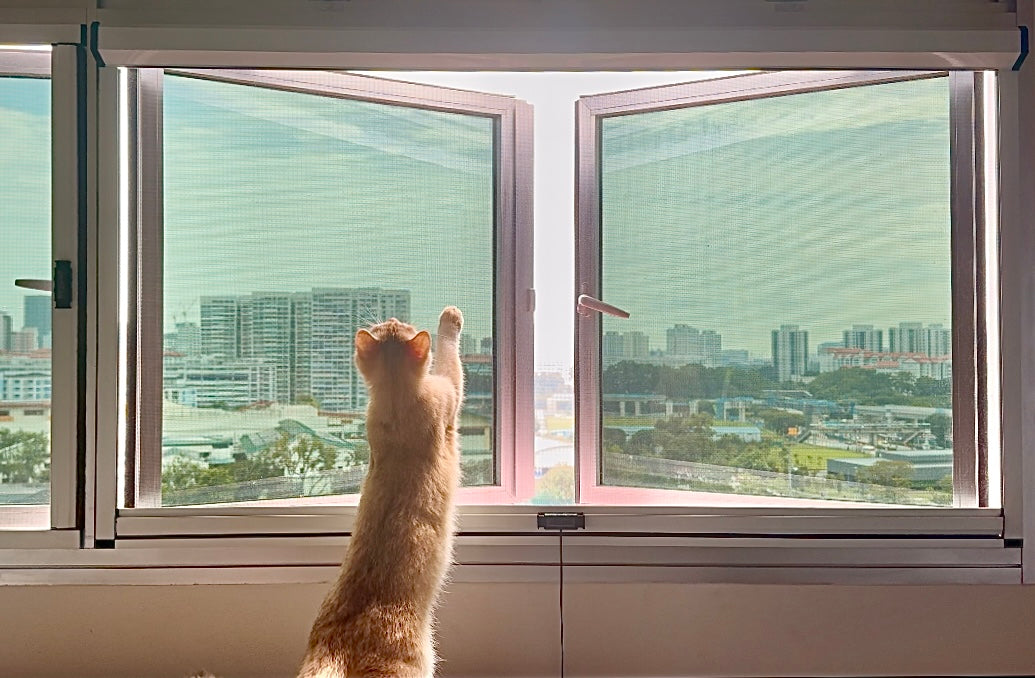 ONEKO SG | Affordable Retractable Window Meshes – My Store